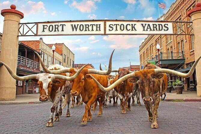 Fort Worth Highlights & Southfork Ranch Combo Tour - In-Depth Look at the Fort Worth Highlights & Southfork Ranch Tour