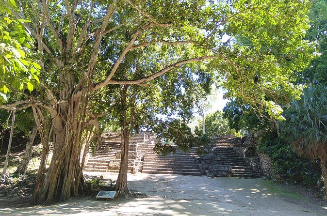 Four Hours Jungle Adventure to Mayan Ruins - FAQ