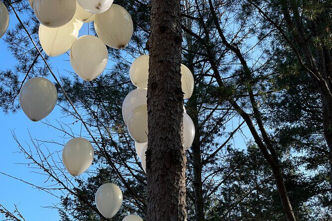 Four Seasons of Nami Island with Garden of Morning Calm Tour - Practical Details: What You Need to Know