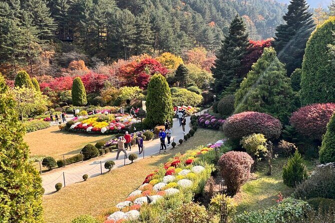 Four Seasons of Nami Island with Garden of Morning Calm Tour - Authentic Experiences Backed by Positive Feedback