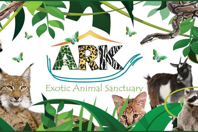 Fox Encounter for 2 people and park entry - An In-Depth Look at the Fox Encounter Experience