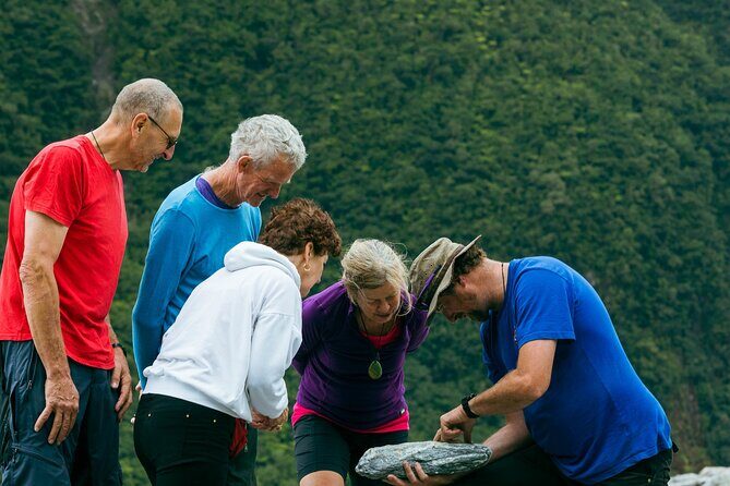 Fox Glacier Nature Tour - The Itinerary in Detail: What to Expect