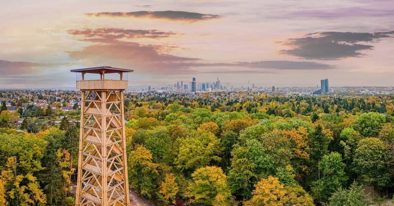 Frankfurt Card: Experience Frankfurt at the Best Price - The Sum Up: Who Is This Card Best For?