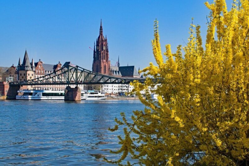 Frankfurt: Classic Public Walking Tour - Frankfurt: Classic Public Walking Tour – A Deep Dive into Germany’s Financial Hub and Historic Heart