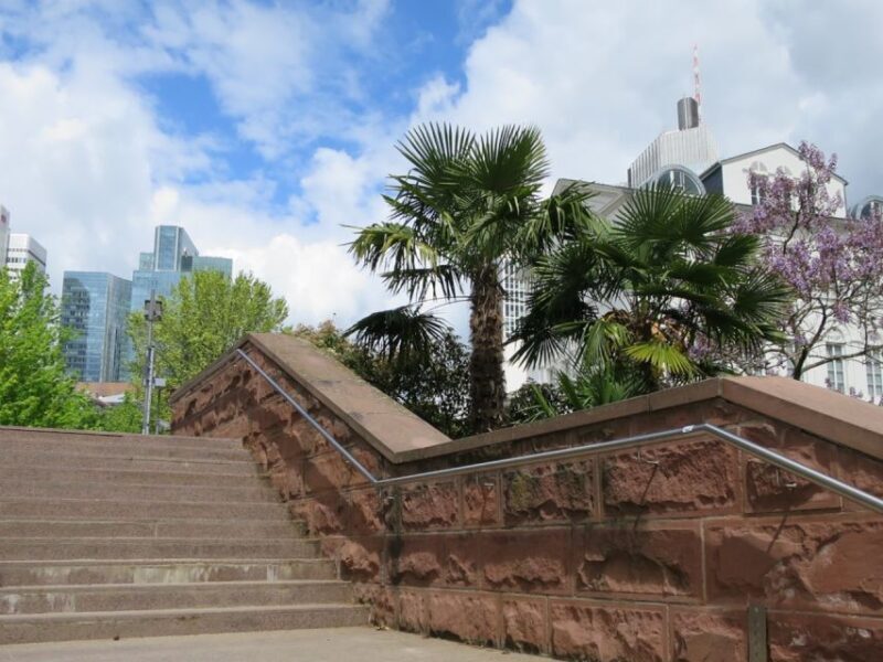 Frankfurt: Guided walk between palm trees and skyline - A Deep Dive into the Experience