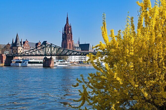 Frankfurt Private Walking Tour With A Professional Guide - Who Should Consider This Tour?