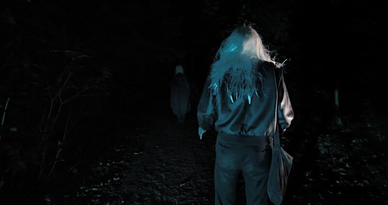 Frankfurt: 'The Hour of the Vampires' Scary Tour - Frequently Asked Questions