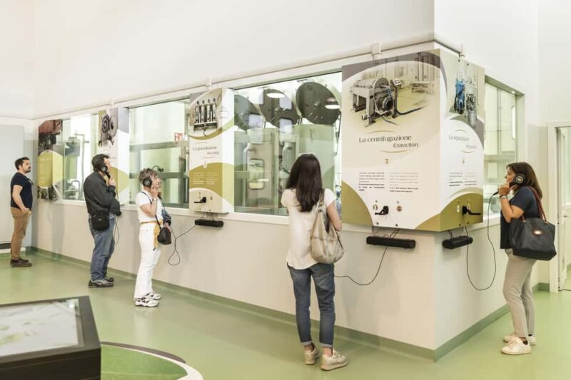 Frantoio di San Gimignano: tour of the oil mill and tasting - The Tasting Experience: A Flavorful Finale