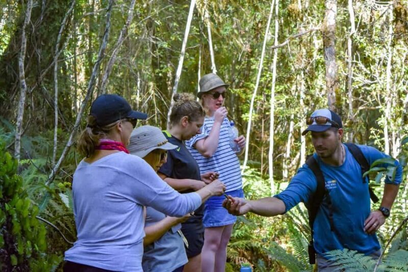 Franz Josef Glacier: 2.5-Hour Lake Mapourika Cruise and Walk - FAQs