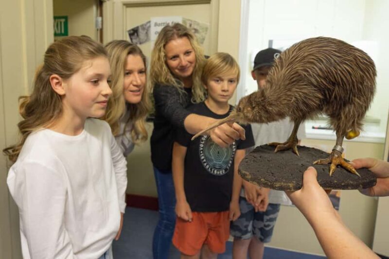 Franz Josef: Kiwi VIP Backstage Pass Tour -Booking Essential - An Honest Look at the Franz Josef Kiwi VIP Backstage Pass Tour