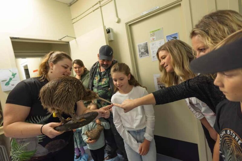 Franz Josef: Kiwi VIP Backstage Pass Tour -Booking Essential - Who Will Love This Tour?