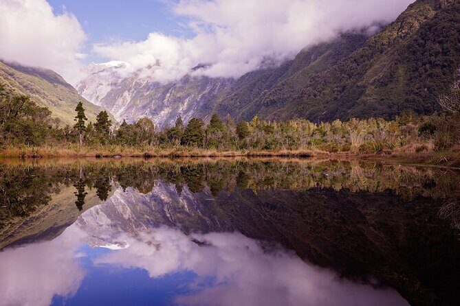 Franz Josef Nature Tour - A Closer Look at the Franz Josef Nature Tour