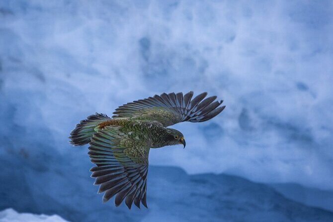 Franz Josef to Christchurch Small-Group Tour via Hokitika (1-way) - Practicalities and Tips