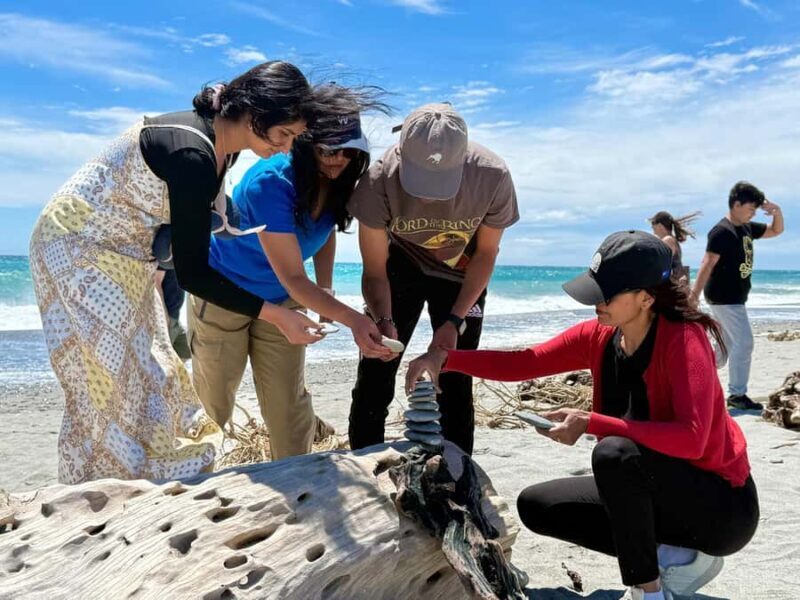 Franz Josef to Queenstown small group tour (One-Way) - Key Points