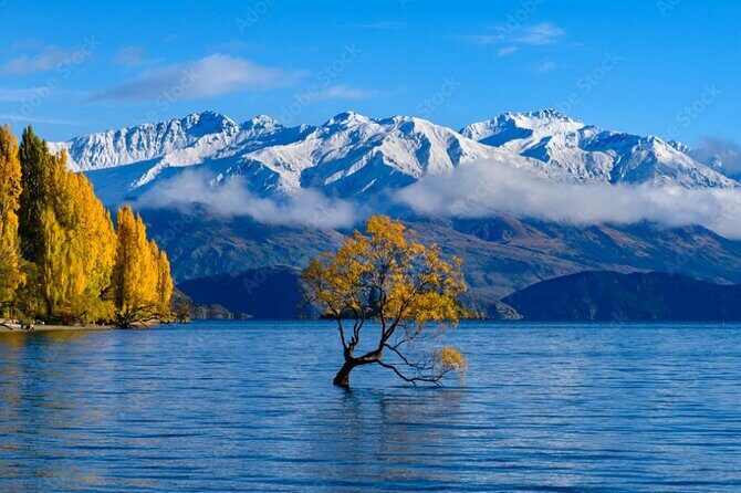 Franz Josef to Queenstown Small Group Tour via Wanaka 1 -Way - Who Should Consider This Tour?