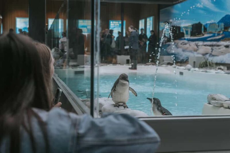 Franz Josef: West Coast Wildlife Centre Entry Ticket -48 hrs - An Introduction to the West Coast Wildlife Centre