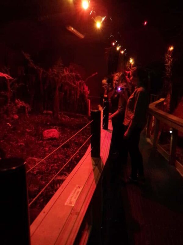 Franz Josef: West Coast Wildlife Centre Entry Ticket -48 hrs - Authentic Perspectives