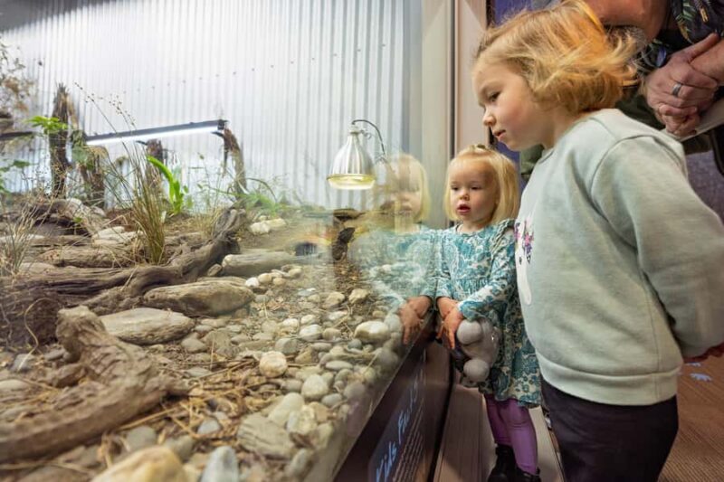 Franz Josef: West Coast Wildlife Centre Entry Ticket -48 hrs - Final Thoughts: Is It Worth It?