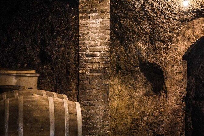 Frascati Day Tour: Road from Rome with Wine Tasting & Lunch - A Deep Dive into the Frascati Day Tour Experience