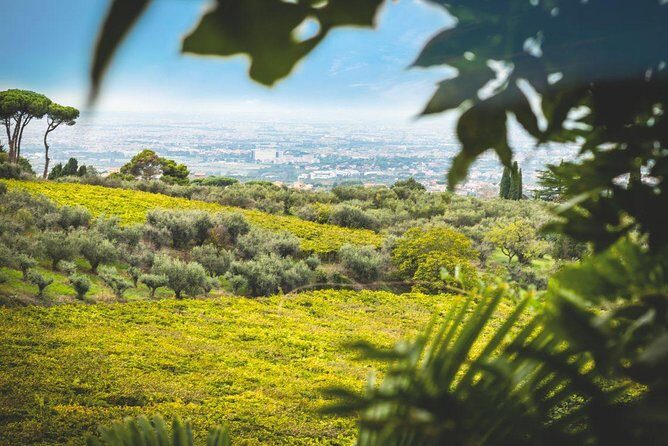 Frascati Wine Tasting Tour: The Flavors of the Roman Countryside - A Scenic Escape to Frascati