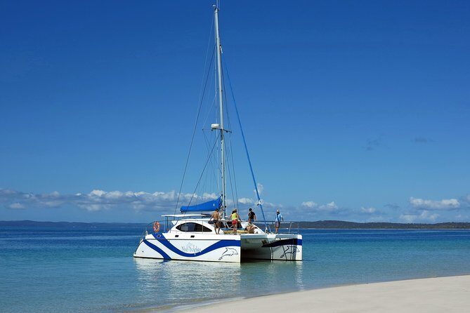 Fraser Island & Dolphin Sailing Adventure - The Sum Up: Who Will Love This Tour?