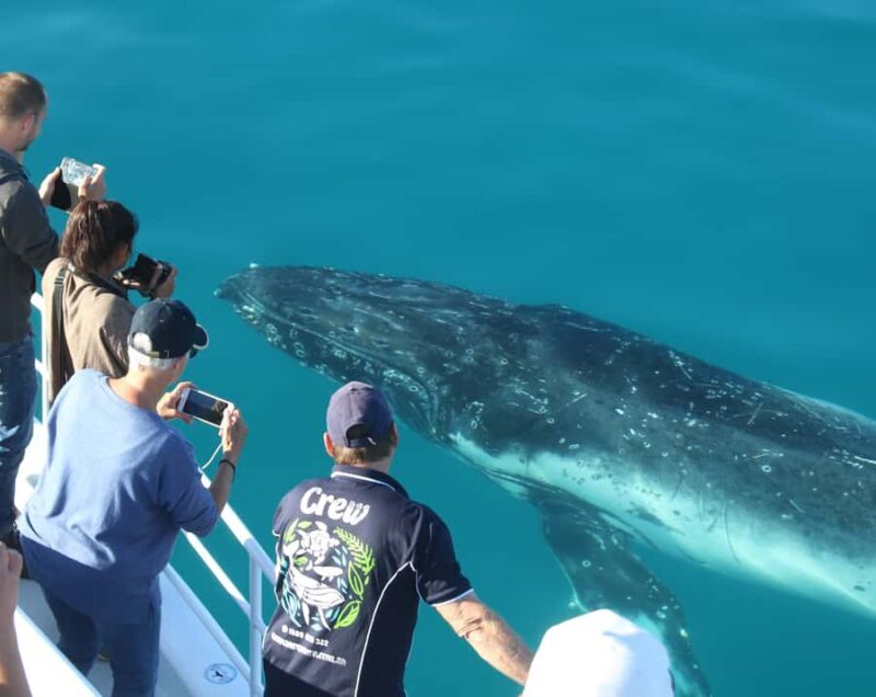 Fraser Island (K'gari): Remote Island and Whale Experience - Authentic Experiences from Travelers