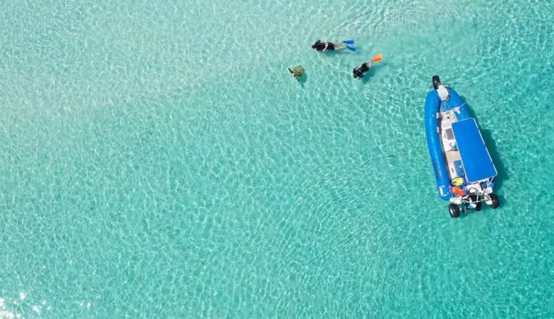 Fraser Island (K'gari): Remote Island and Whale Experience - Final Thoughts