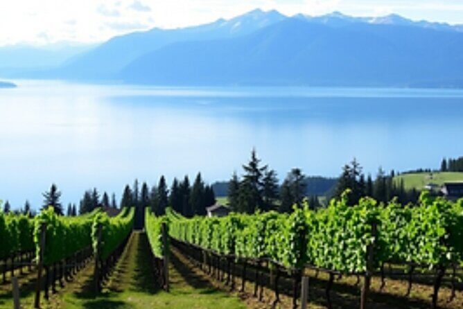 Fraser Valley Wine Escape Full Day Tour from Vancouver - Final Thoughts