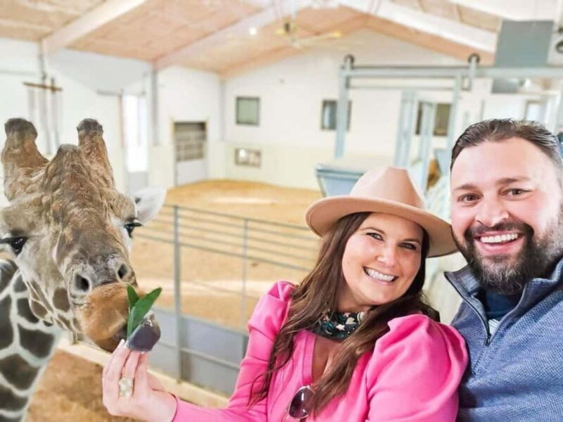 Fredericksburg: Longneck Manor Animal Encounter - The Itinerary and What You’ll Experience