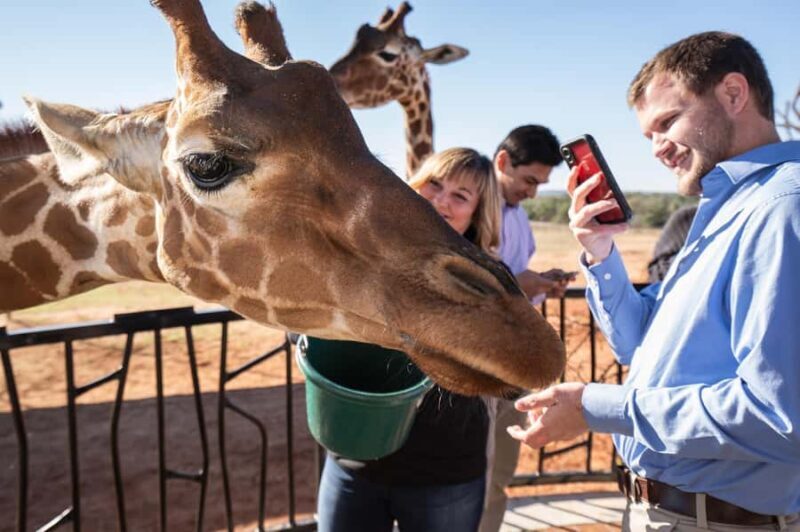 Fredericksburg: Longneck Manor Animal Encounter - Why It’s Worth the Price