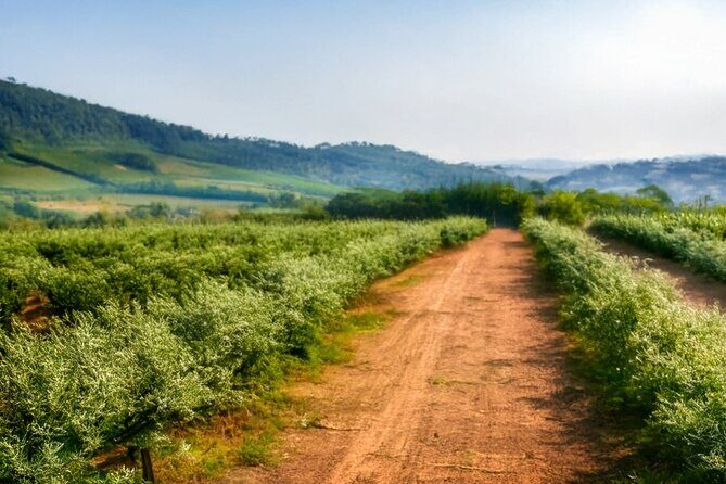 Fredericksburg Luxury Shopping and History and Culture Tour - Final Thoughts