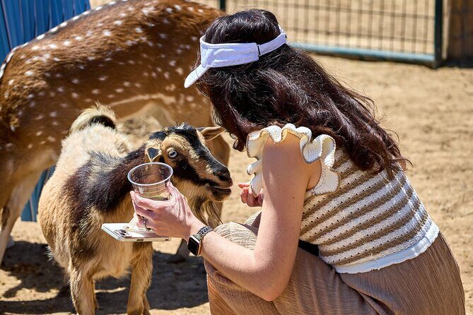 Fredericksburg Safari Tour With Wine Tasting - The Sum Up