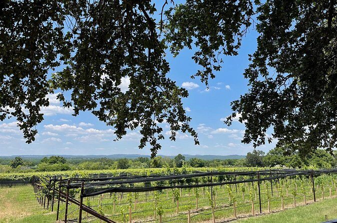 Fredericksburg Texas Area Wine Tastings: 3 Wineries and Lunch - Final Words