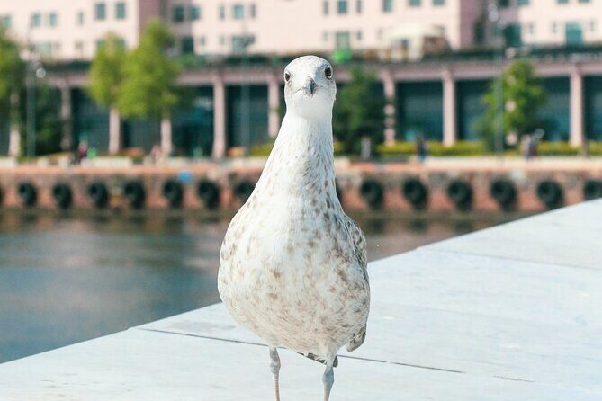 Free City Walking Tour in Oslo - Final Thoughts