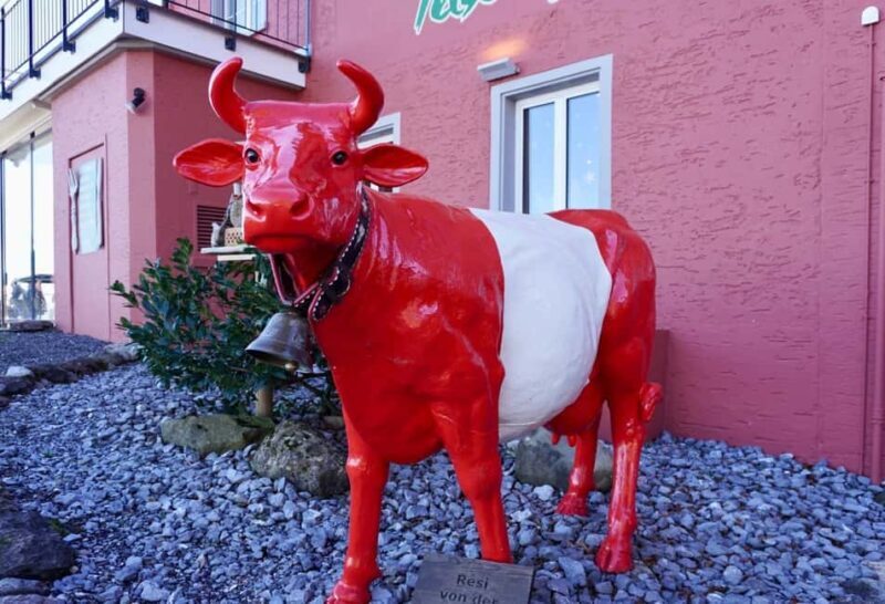 FREE PHOTO in Zurich walk cable car panoramic lake Zurich - Practicalities & Tips for Travelers