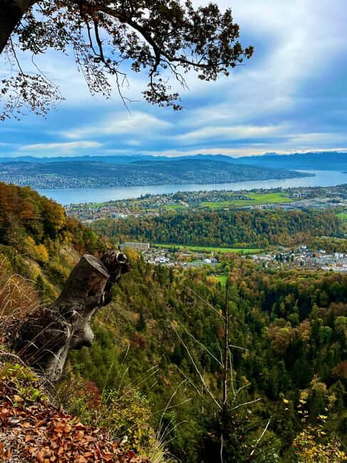 FREE PHOTO in Zurich walk cable car panoramic lake Zurich - Who Would Love This Tour?