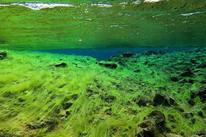Freedive Silfra Half Day Tour - Final Thoughts: Is the Freedive Silfra Half Day Tour Worth It?