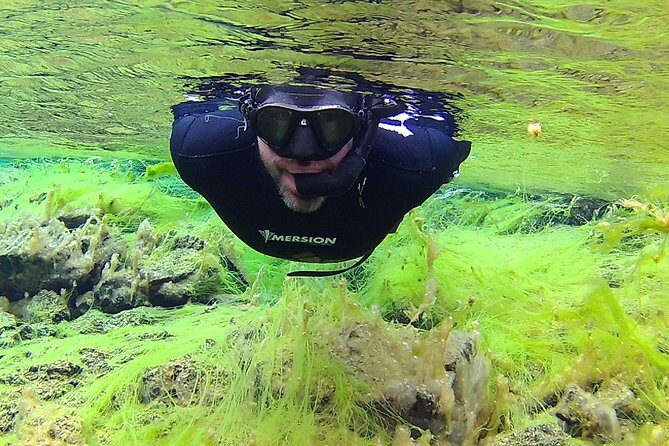 Freedive Silfra Half Day Tour - FAQs