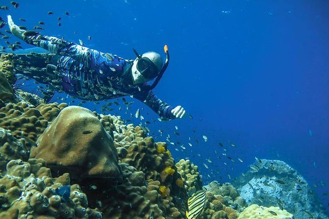 Freediver advanced (start at Koh Chang) - What to Expect from the Itinerary