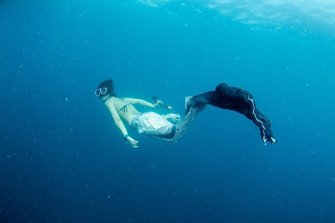 Freediver advanced (start at Koh Chang) - FAQ