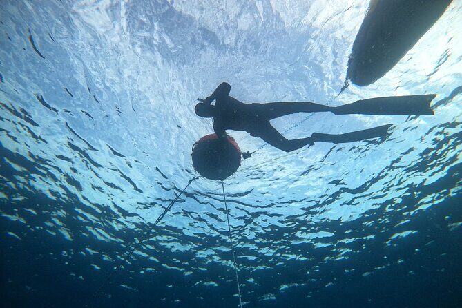 Freediving at Museum Atlantico - Who Will Love This Tour?