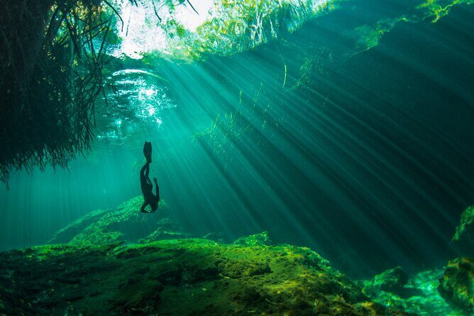 Freediving Intro for Beginners in a Cenote in Tulum Mexico - The Sum Up