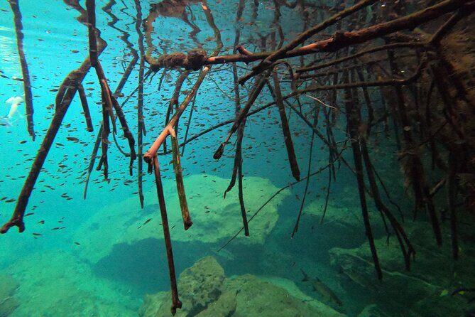 Freediving Intro for Beginners in a Cenote in Tulum Mexico - FAQ