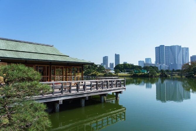 Freely set up plans Guided Private Tours in Tokyo - Practical Tips and Considerations
