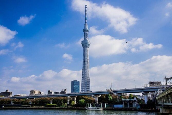 Freely set up plans Guided Private Tours in Tokyo - Final Words: Who Is This Tour For?