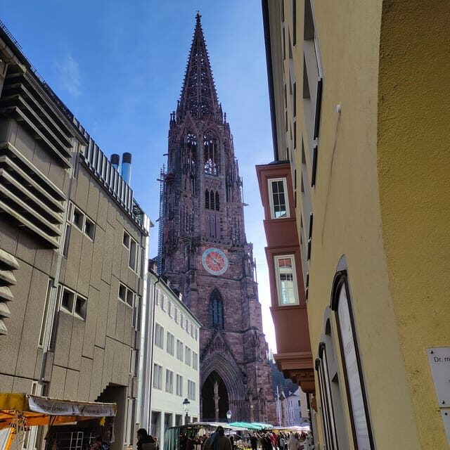Freiburg im Breisgau: old town group walking tour Italian - What You Can Expect: The Experience in Detail
