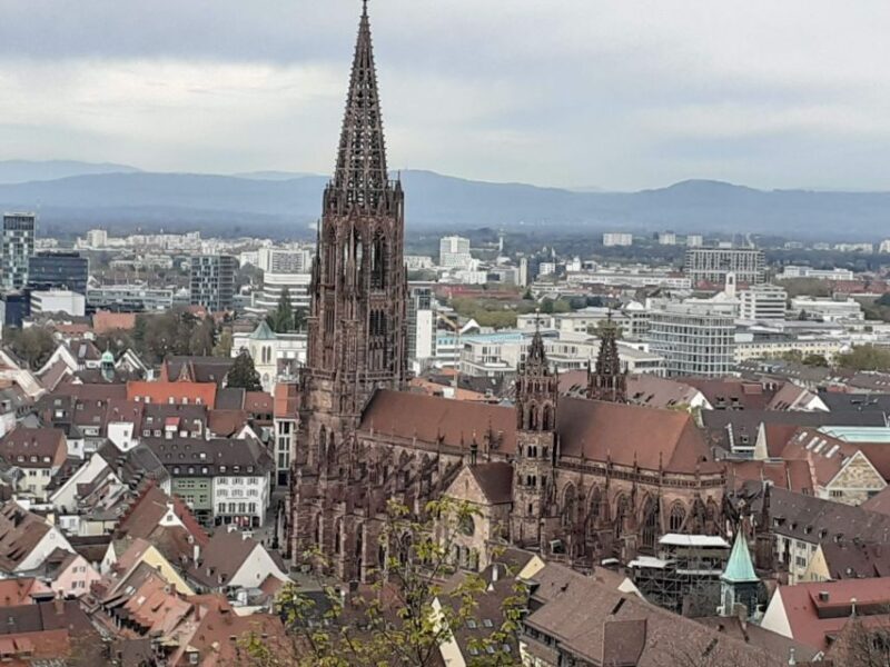 Freiburg: Walking and Strolling the Historic Center - A Deep Dive Into Freiburg’s Historic Center Walking Tour