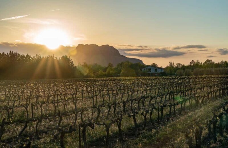 Fréjus: Cave tour and wine tasting - FAQ