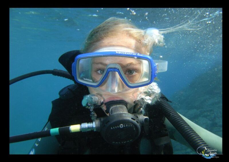 Fréjus: Diving Experience in Port-Fréjus with an Instructor - What to Expect From the Diving Experience