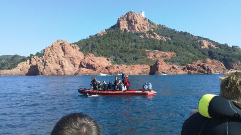 Fréjus: Diving Experience in Port-Fréjus with an Instructor - The Sum Up